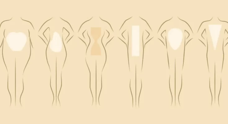 Types Of Body Shape